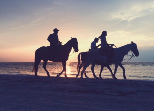 Horseback Riding on the Sea and Desert