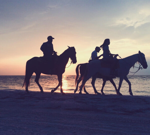 Horseback Riding on the Sea and Desert