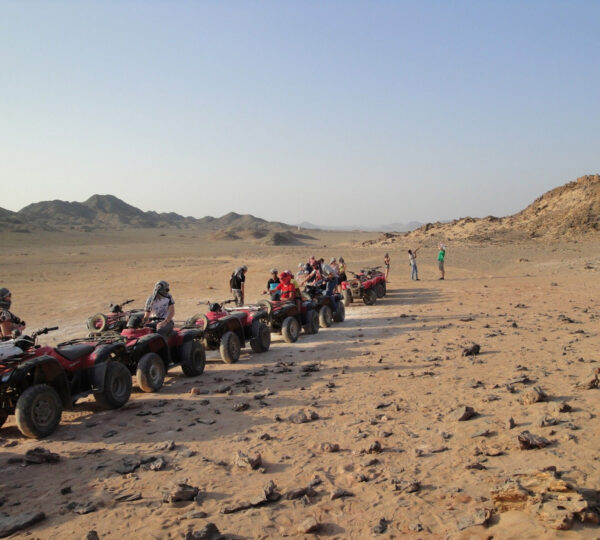 Afternoon Quad Biking and Desert Safari in Hurghada